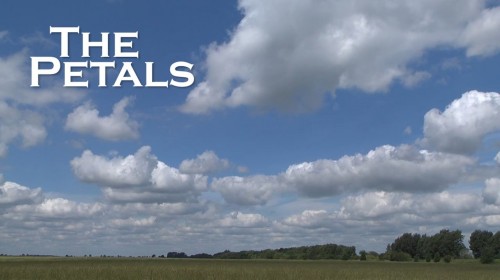 The Petals - Video production company Peterborough
